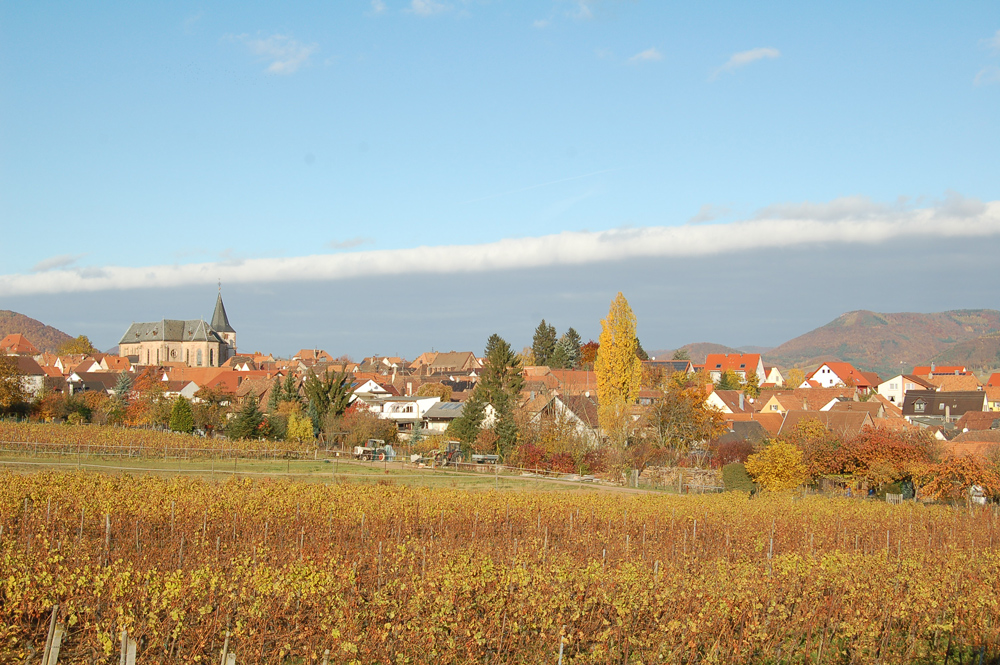 Blick auf Arzheim